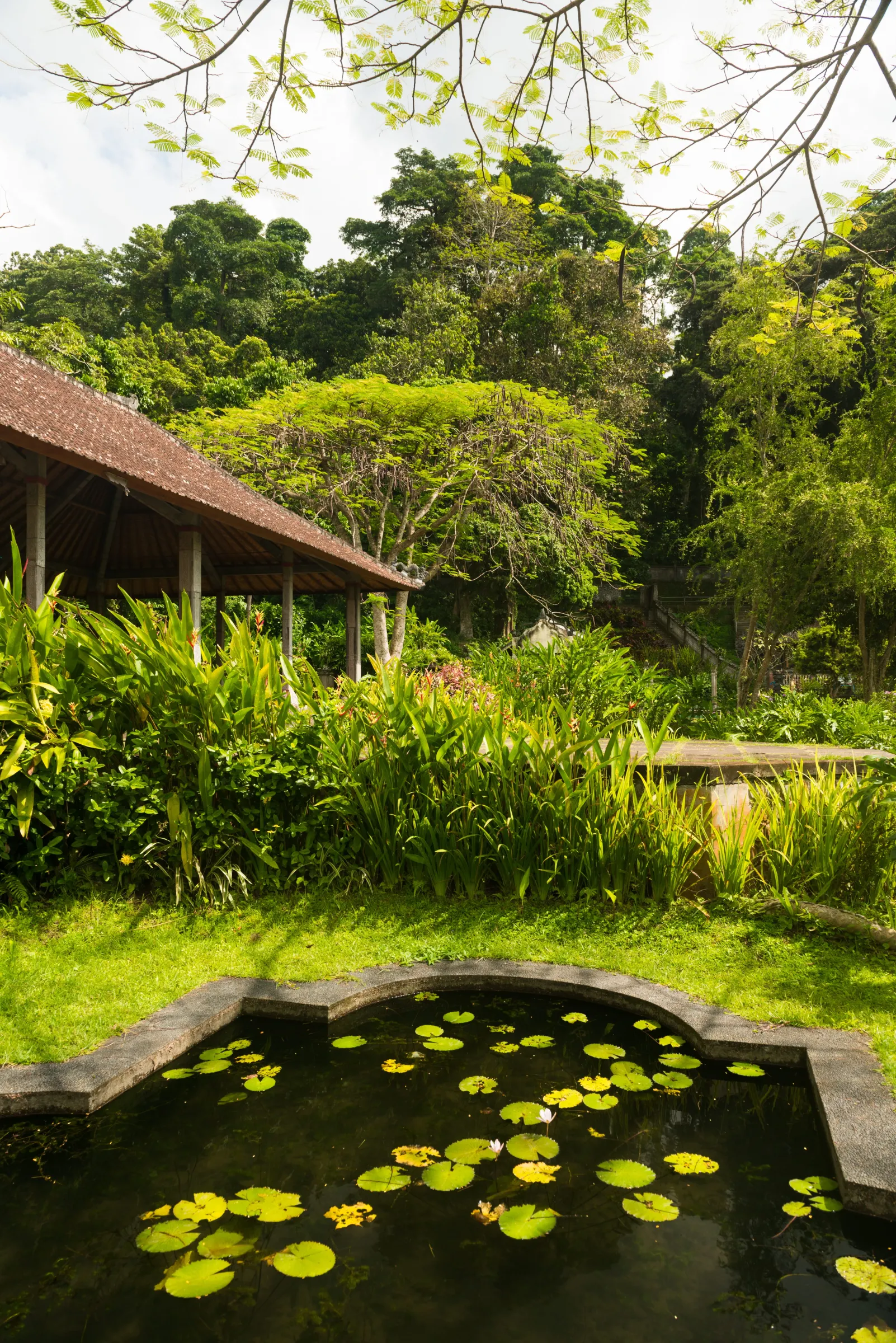 3D landscape design — garden pathway concept