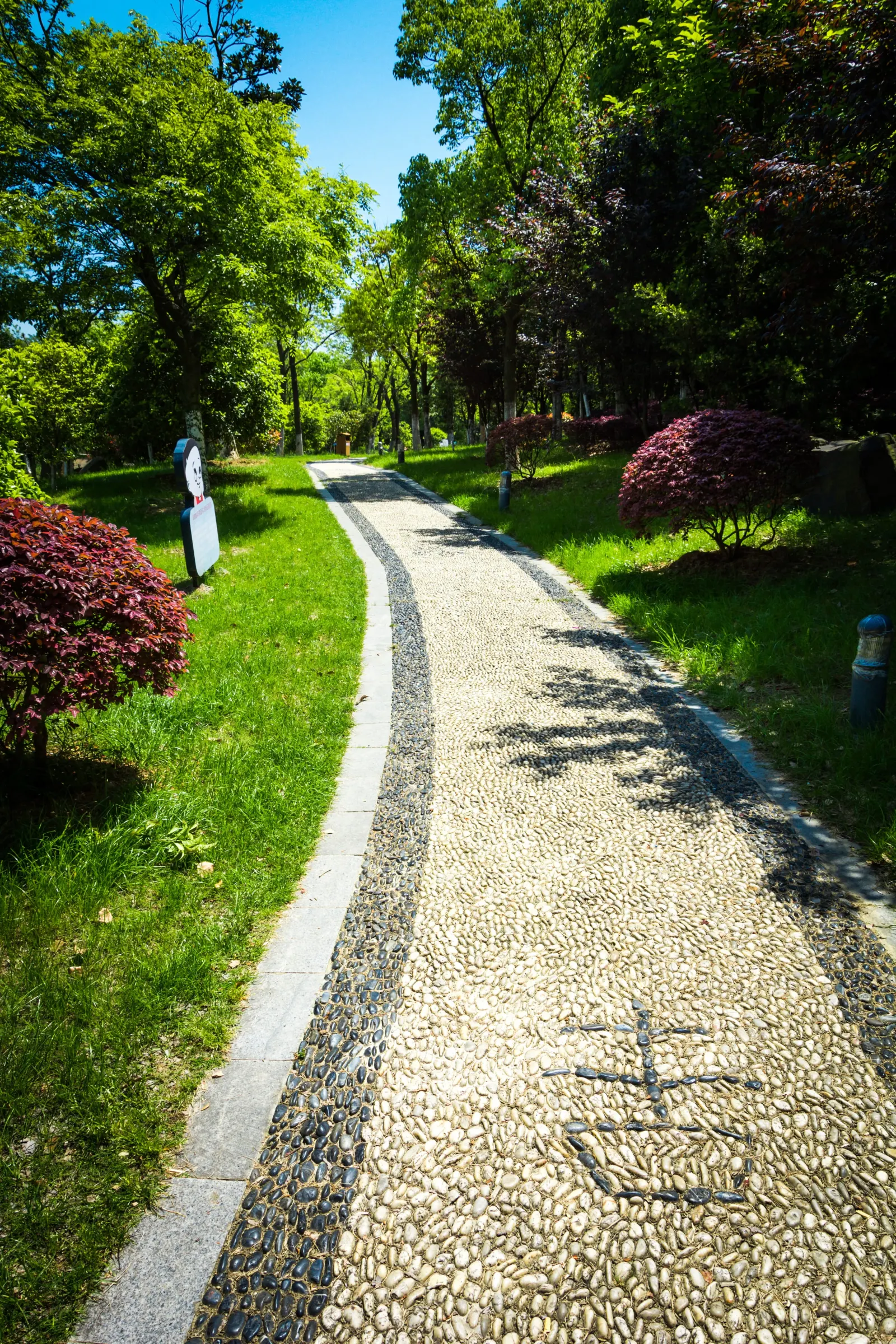 Driveway project — paved entrance detail