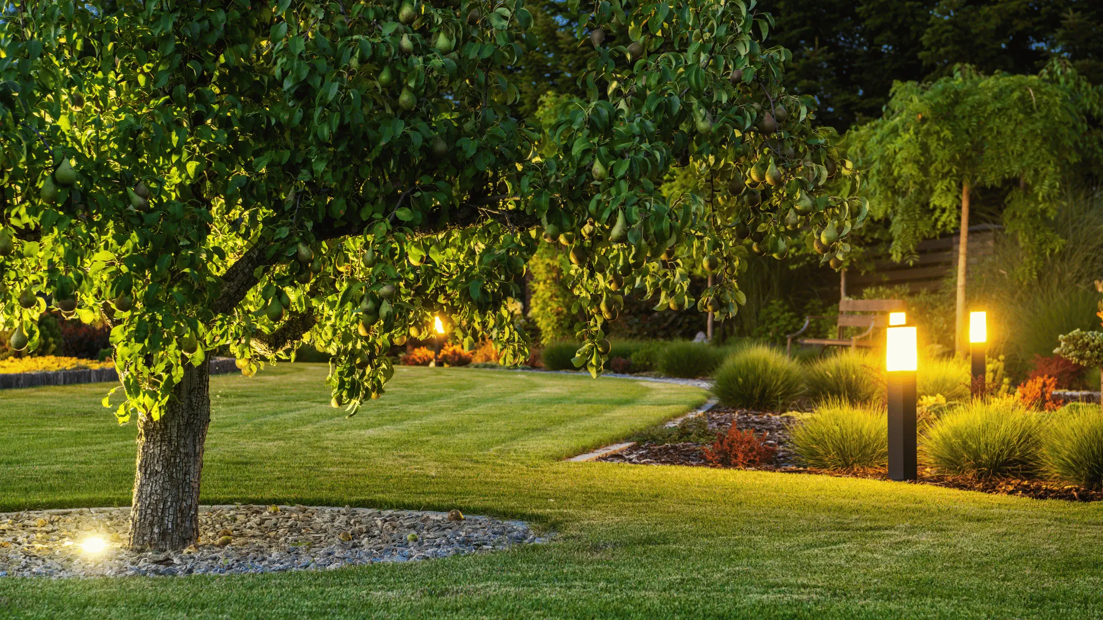 Path lighting & garden beds